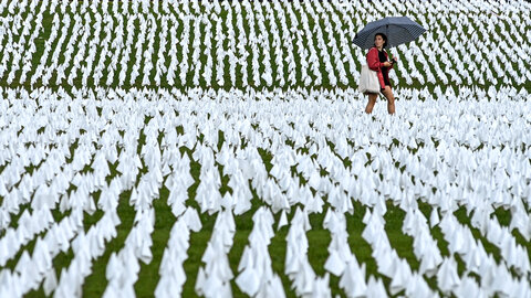 A Covid memorial art installation in Washington.