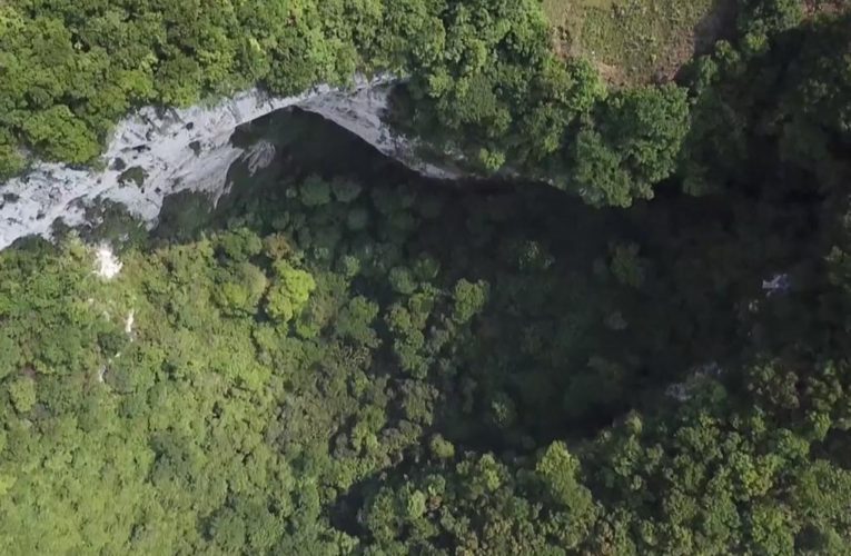 630-foot sinkhole in China reveals massive ancient forest world