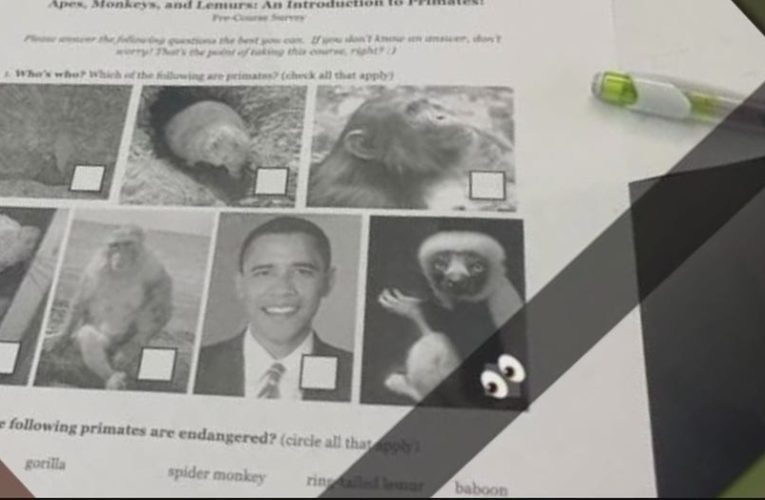 Michigan school that passed ‘anti-racism resolution’ suspends teacher for worksheet comparing Obama to monkeys