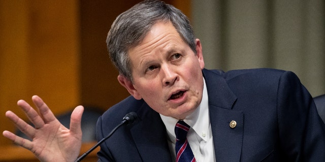 Sen. Steve Daines, R-Mont., speaks during a Senate Finance Committee hearing on the nomination of Xavier Becerra to be Secretary of Health and Human Services on Capitol Hill in Washington, Wednesday, Feb. 24, 2021. (Michael Reynolds/Pool via AP)