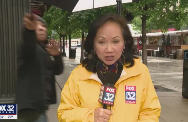 Chicago police search for man who pointed gun at news crew during live report