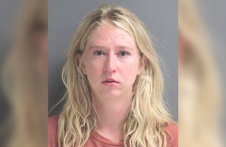 Missouri woman arrested after dogs die from being left in car while she ate lunch in Florida