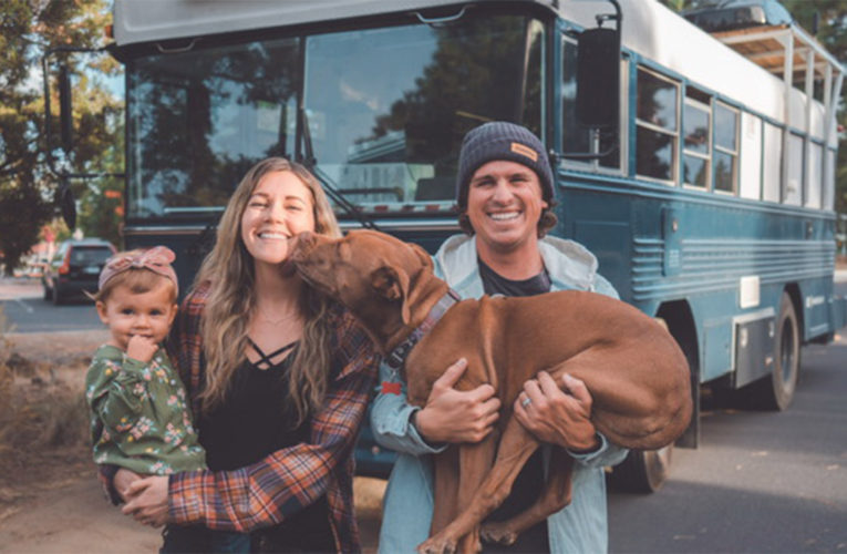 Tips for road tripping with dogs, from people who live in a van year-round