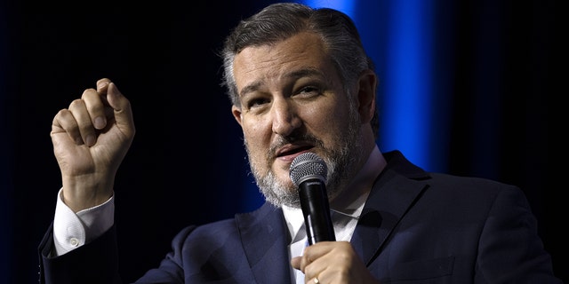 Sen. Ted Cruz, R-Texas, speaks during the Republican Jewish Coalition (RJC) Annual Leadership Meeting in Las Vegas Nov. 5, 2021. 