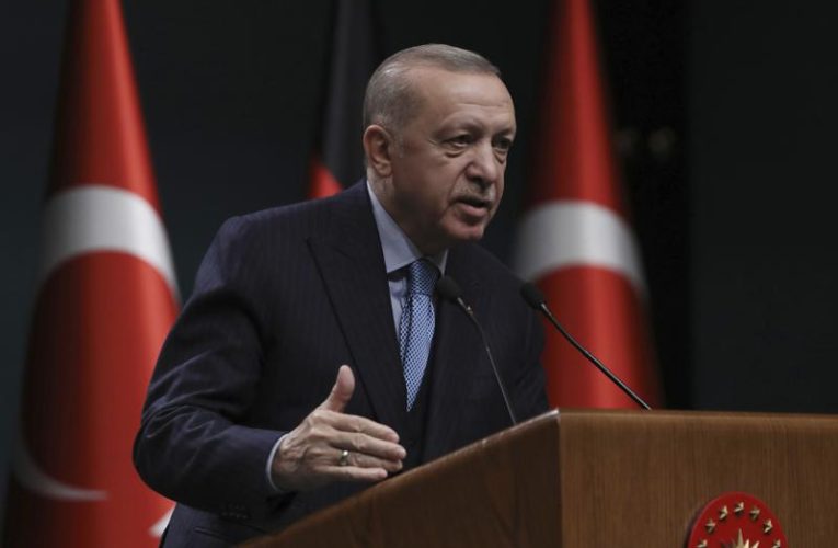 Turkey’s Erdogan: Sweden, Finland joining NATO poses ‘risks’ for ‘organization’s future’