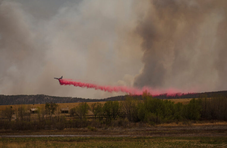 U.S. Forest Service Planned Burn Caused Largest New Mexico Wildfire