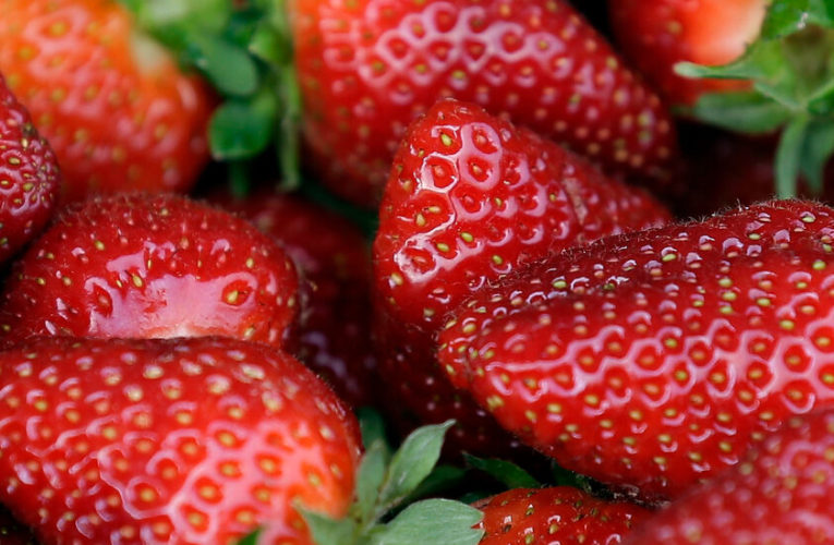 Hepatitis A Outbreak in U.S. and Canada Linked to Strawberries