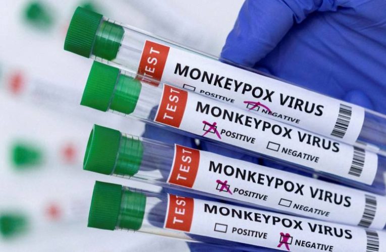 EU pursues centralised purchase of monkeypox vaccine and antiviral drug