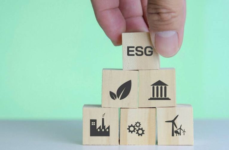 ‘Collateral damage’: ESG funds pulled down by tumble in tech shares