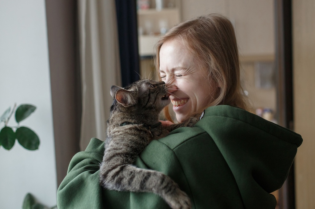 Smiling woman in the green sweater hugs her cat tenderly in the spacious room. Tabby grey pet bites girl's nose. Soft daylight illuminate them gently through the window.
