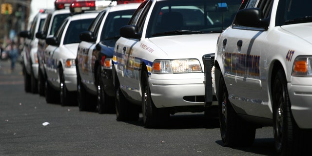 Police cars in a lineup. 