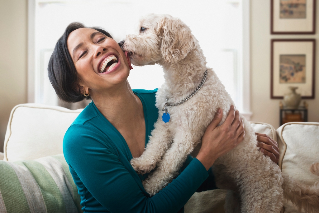 woman petting dog on sofa