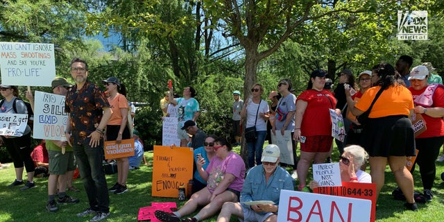 Protesters stand outside of the NRA Convention in Texas.