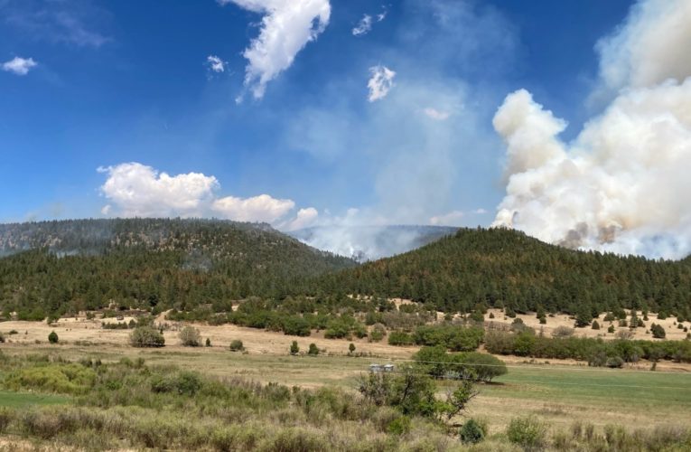 As weather shifts, fire in New Mexico nears 50% containment