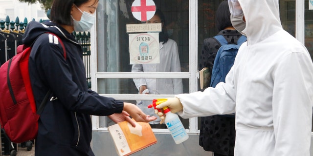 A girl wearing a mask disinfects her hands before entering the Kumsong Secondary School No. 2 in Pyongyang, North Korea, Nov. 3, 2021. 