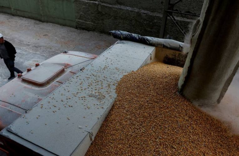 European leaders urge Putin to unblock Ukraine’s grain supplies