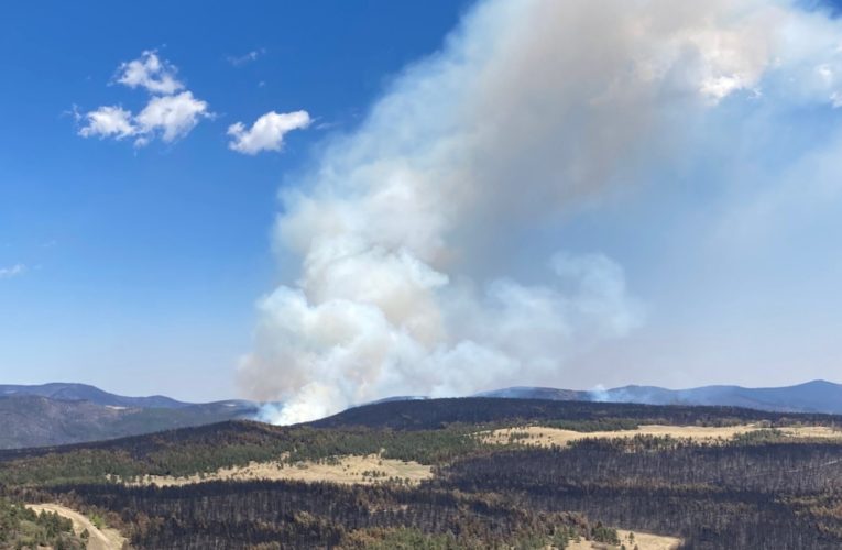 New Mexico’s largest wildfire traced back to Forest Service prescribed burns