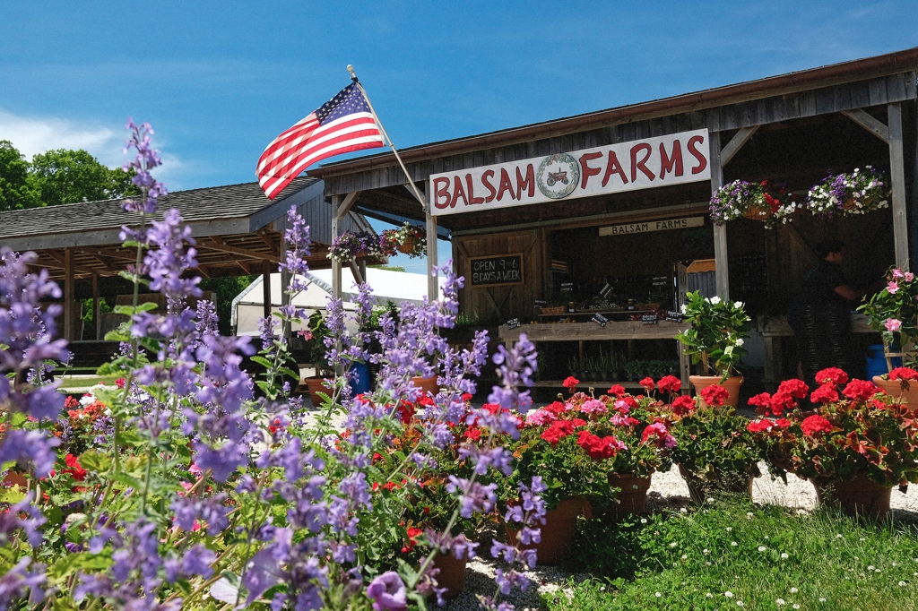 Balsam Farms
“Hands down, the best farm stand. I would drive 1,000 miles for their white corn.” 293 Town Lane, Amagansett
