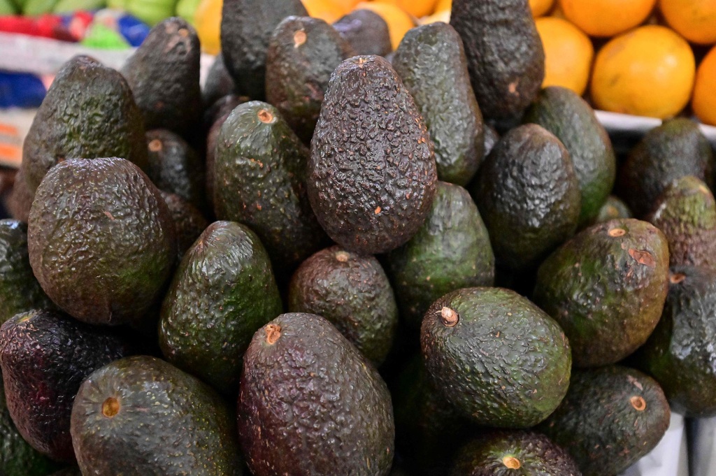 Avocados can grow harmful bacterias through a TikTok hack that the FDA is warning against.