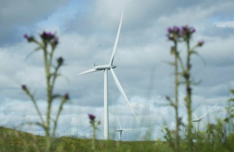 Green investment could help UK levelling-up, says think-tank