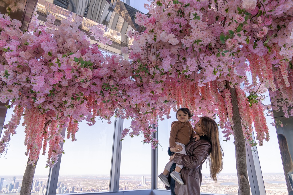 Cherry Blossoms at The Edge Hudson Yards NYC
