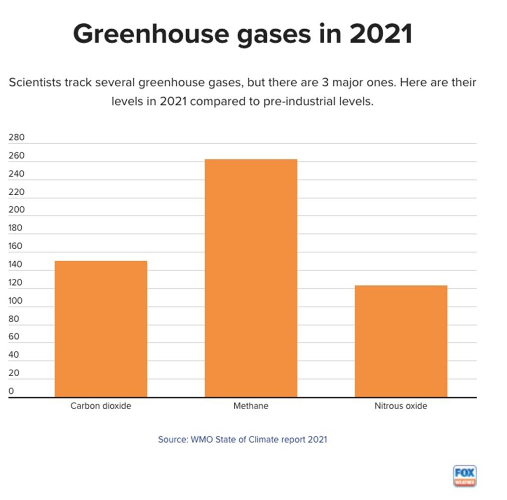 Here's a chart showing greenhouse gasses in 2021. 