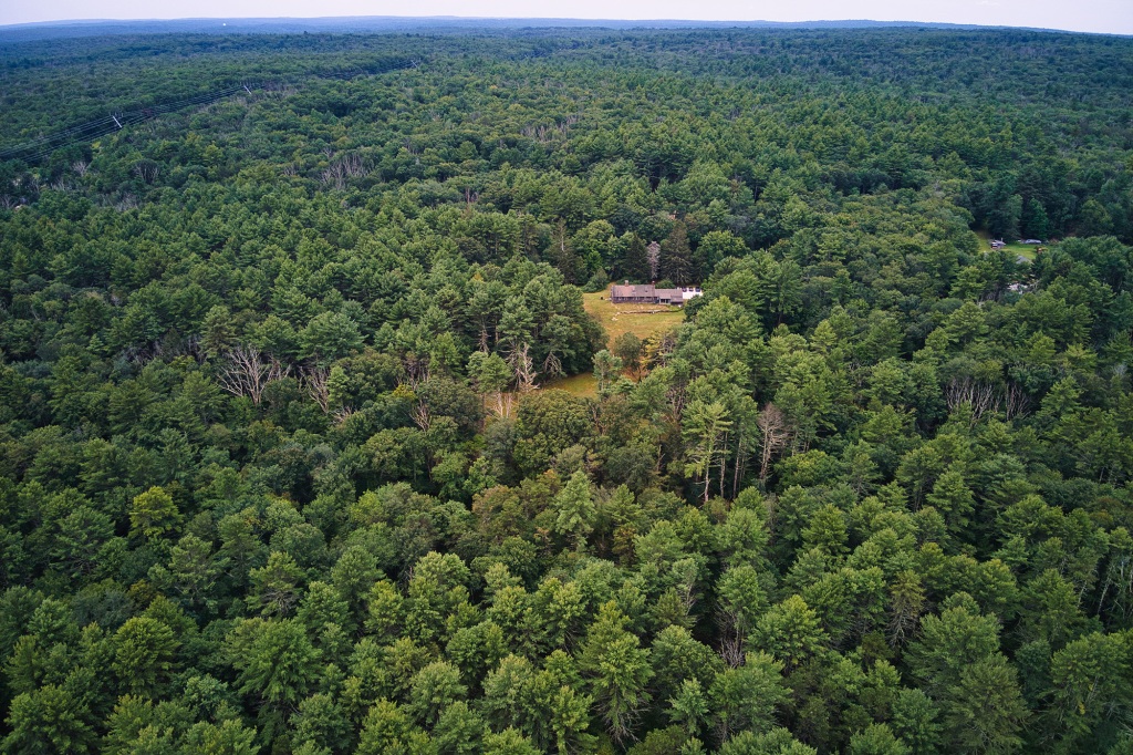 The property stands on 8.5 acres of land -- and surrounded by woods, can anyone hear you scream?
