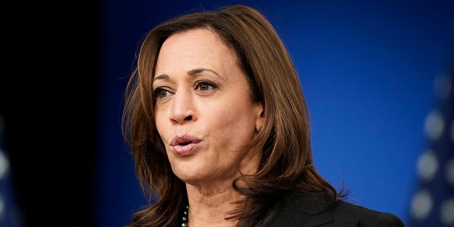 Vice President Kamala Harris speaks at the Tribal Nations Summit in the South Court Auditorium on the White House campus, Tuesday, Nov. 16, 2021, in Washington.