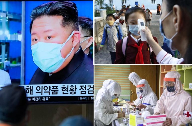 North Korea’s tiny COVID death rate leaves many in disbelief