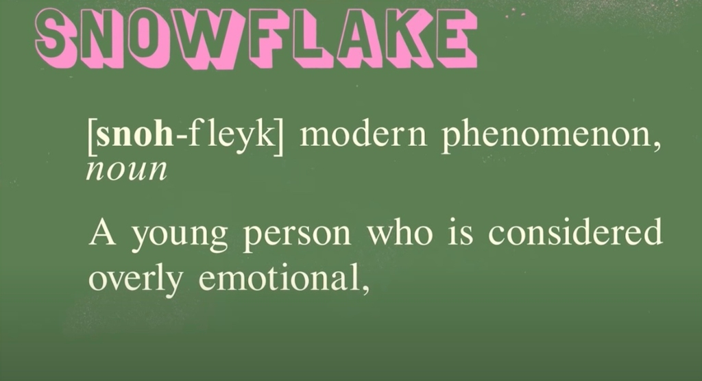 A graph about the definition of "snowflake." 