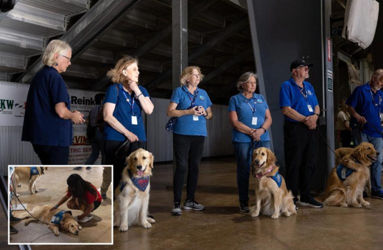 Comfort dogs arrive in Uvalde to offer support after Texas school shooting