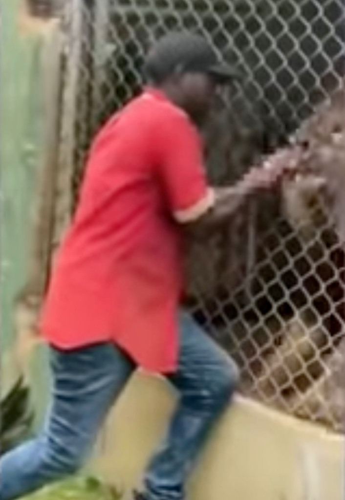 Initially thinking the finger bite was part of the demonstration, bystanders realized that wasn't the case after the caretaker fell backward.