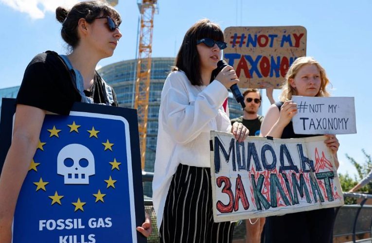 MEPs back controversial EU plan to label nuclear and gas investments as ‘green’