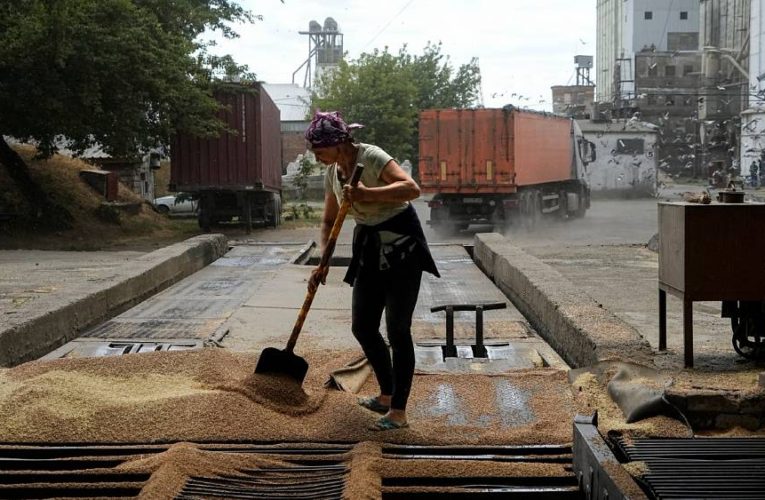 Food crisis: There is ‘hope’ for a Russia-Ukraine deal on grain export