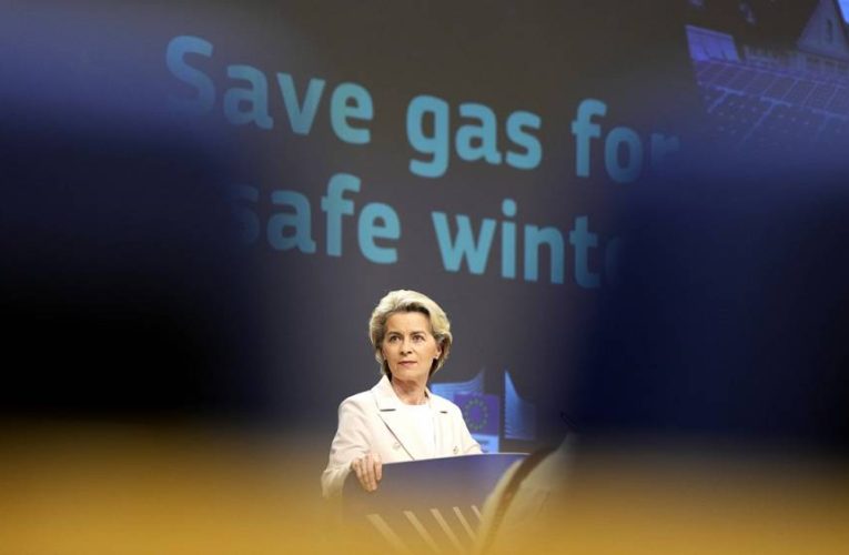 ‘It’s a total mess’: Opposition mounts against the EU’s 15% gas reduction plan