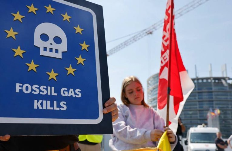 Austria to take EU to court over ‘greenwashing’ of gas and nuclear