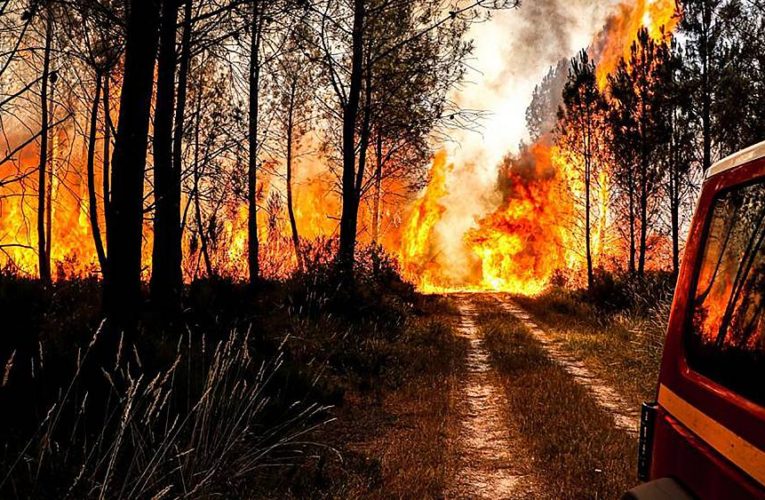 France faces raging wildfires and second heatwave of the summer