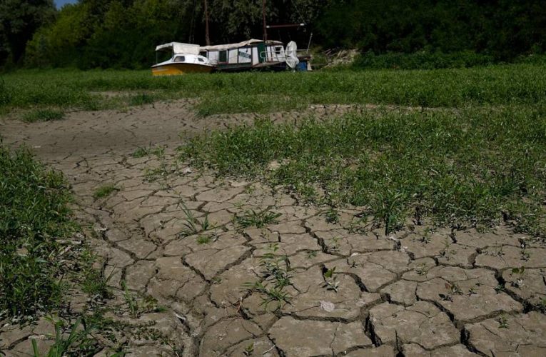 Nearly half of EU exposed to ‘warning’ drought levels, report says