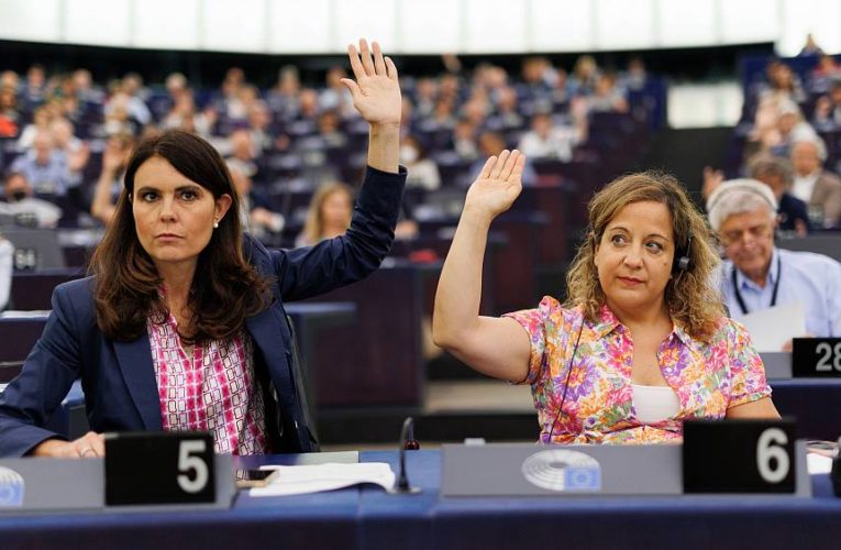 Watch: What do European lawmakers think about abortion rights?