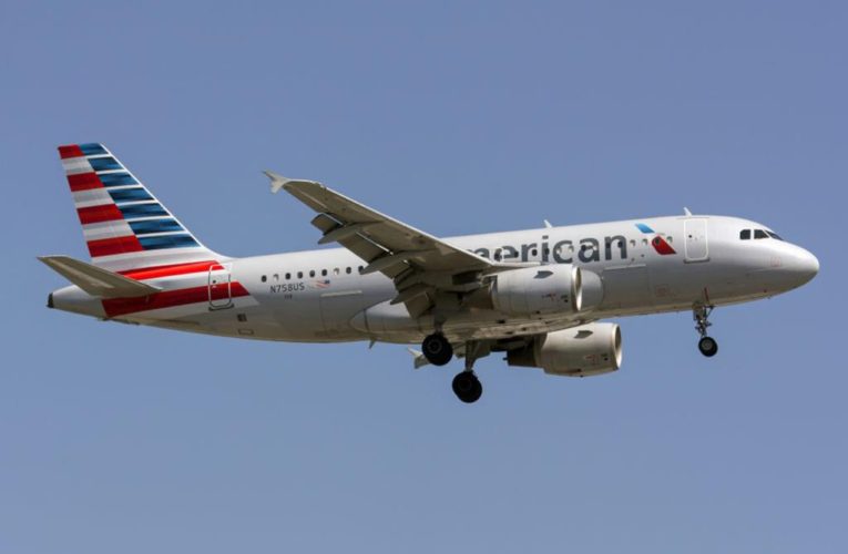 American Airlines passenger admits jumping on cart, stripping