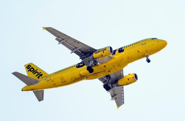 Spirit wins takeoff and landing rights at Newark airport