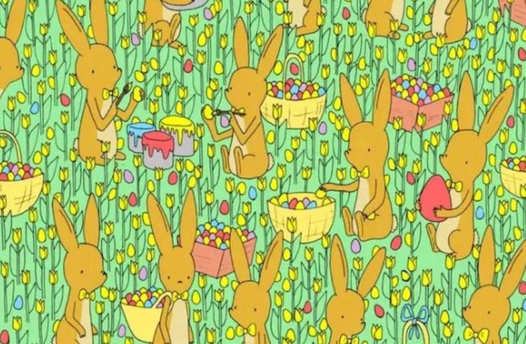 Can you find the chick in this bunny illusion in under 30 seconds?