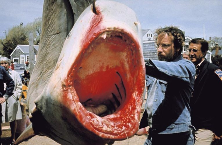 ‘Jaws’ made people so afraid of sharks, scientists say