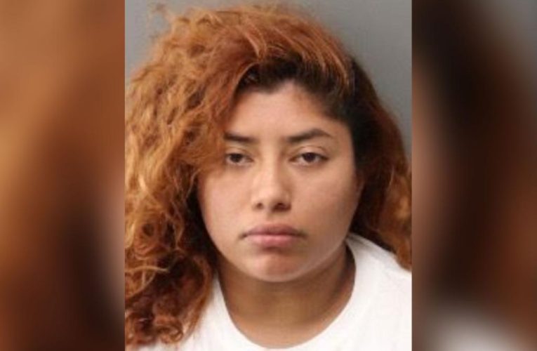 Woman disguised as nurse tries to abduct infant from California hospital: cops