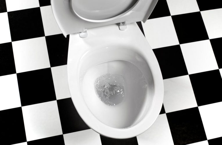 Preserving your poop could help save your life: Harvard scientists