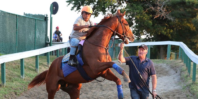 In this photo provided by Equi-Photo, Haskell contender Taiba, exercise rider Na Somsanit up, is led by groom Roberto Luna after a morning gallop at Monmouth Park Racetrack in Oceanport, N.J., Wednesday, July 20, 2022.