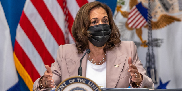 Vice President Kamala Harris speaks during a meeting with state legislators on reproductive rights in Charlotte, North Carolina, on July 21, 2022.