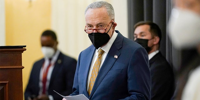 Senate Majority Leader Chuck Schumer routinely criticizes Republicans over dark money despite Democrats benefiting from it far more.