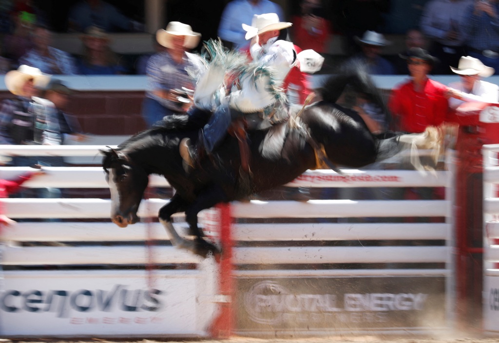 Taming animals are on full display at the rodeo.