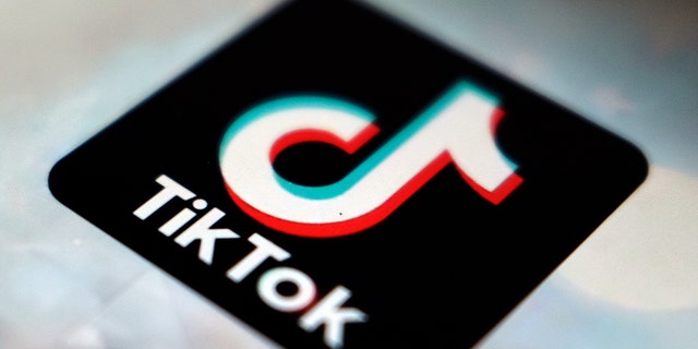 A view of the TikTok app logo, in Tokyo.  